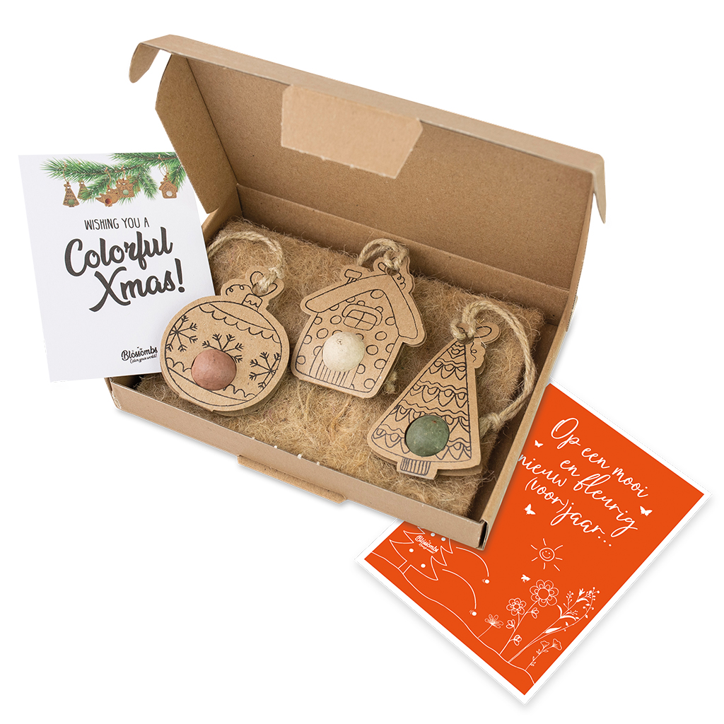 ZB0100 - Blossombs kersthangers