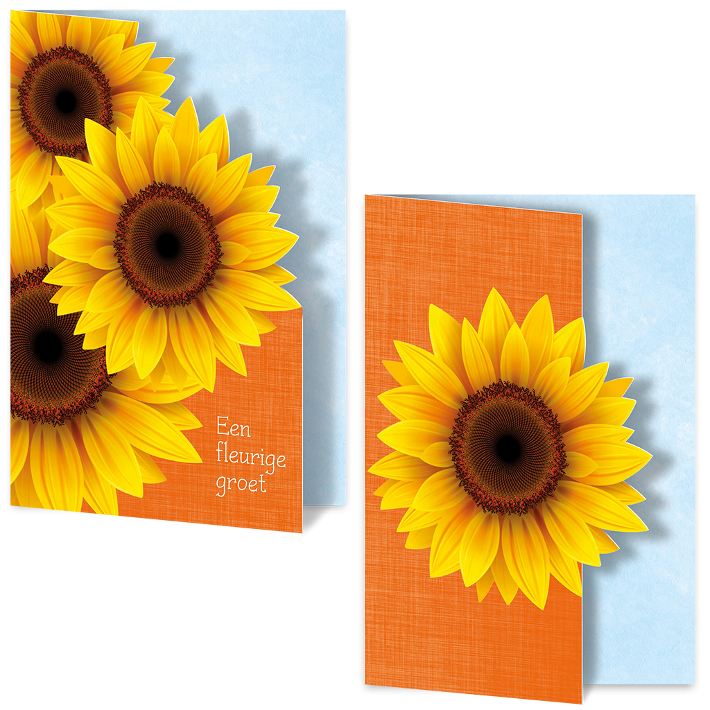 ZB0119 - Wenskaart  Vrolijke zonnebloemen