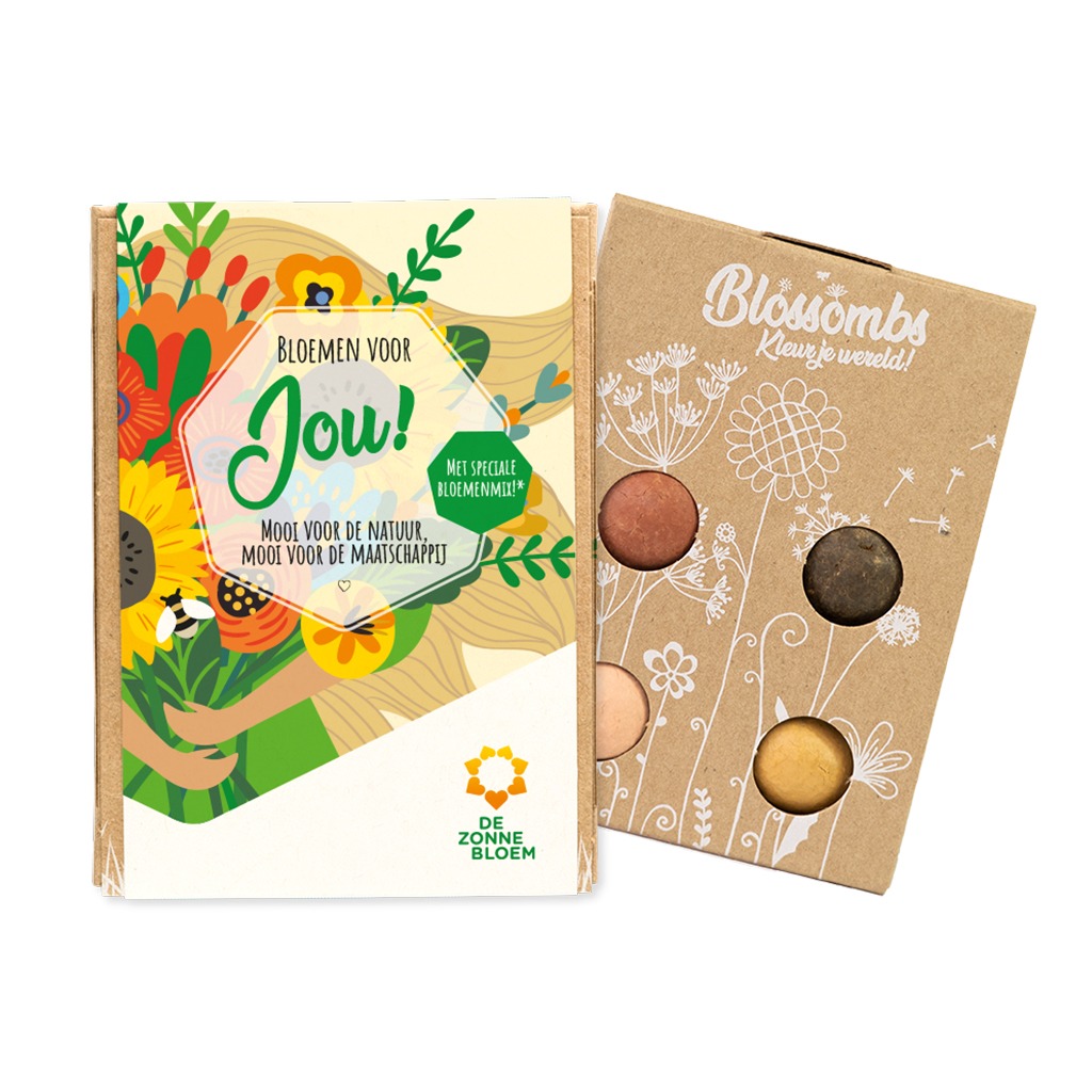 ZB0123 - Blossombs Zonnebloem Giftbox 4 stuks 