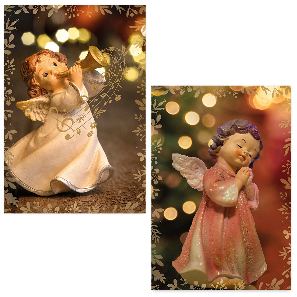 ZB0179 - Vredige Vleugels