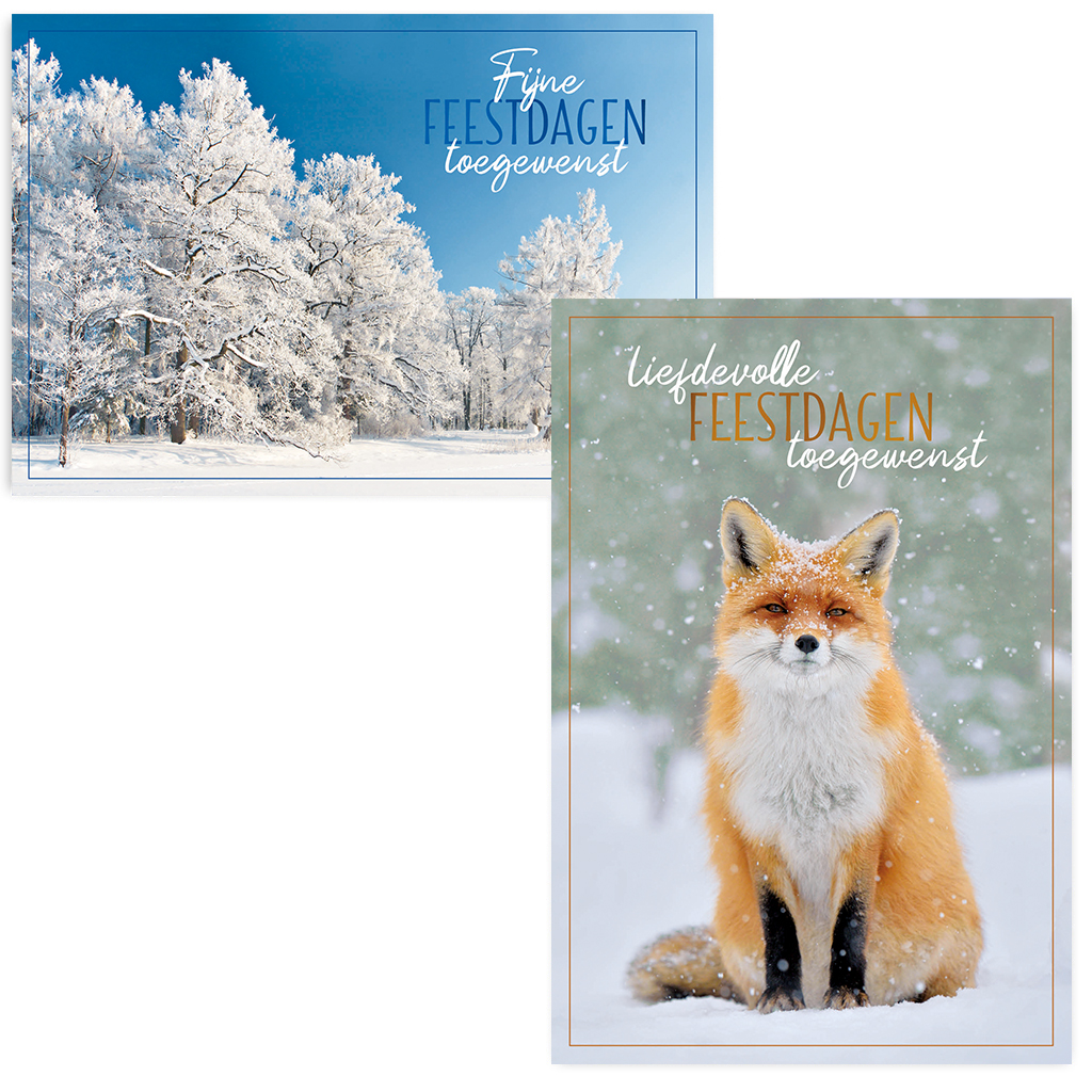 ZB0182 - Winterpracht