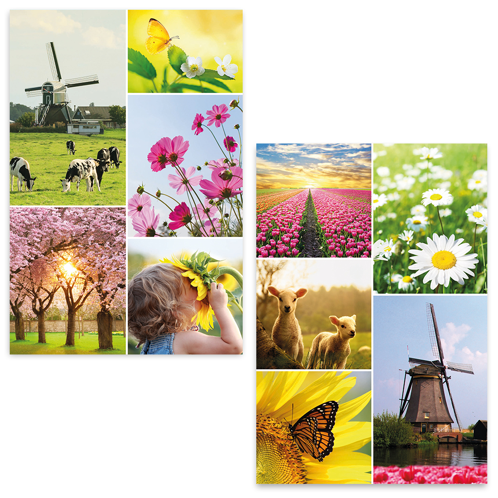 ZB0055 - Wenskaart Hollands voorjaar